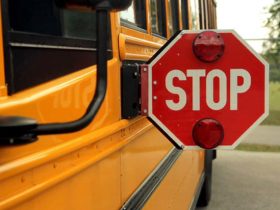 School Bus