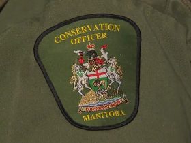 Conservation officer