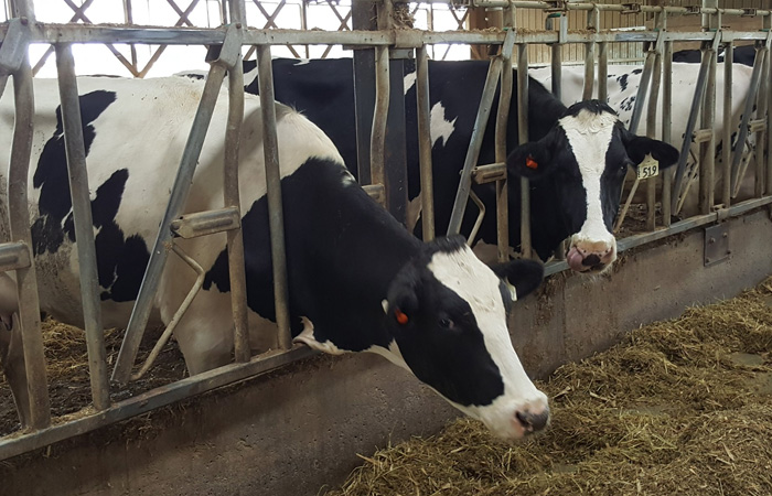 Open Farm Day