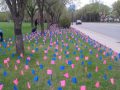 Flag display
