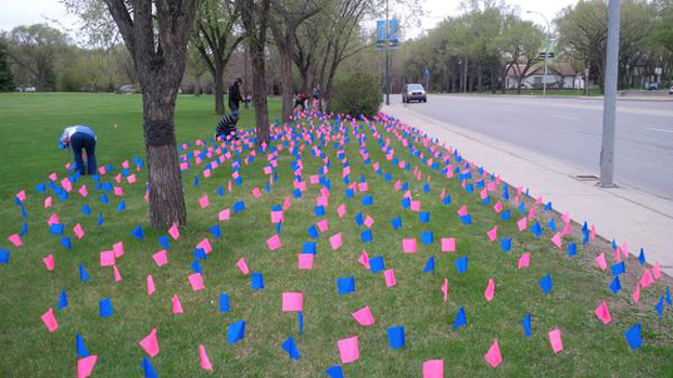 Flag display