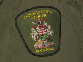 Conservation Officer