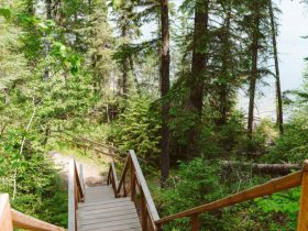 Hiking trails
