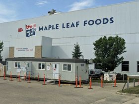 Maple Leaf Foods