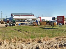 Grunthal Auction Service