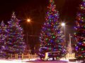 Christmas lights