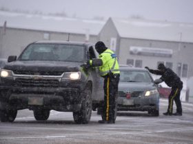 Traffic Stop