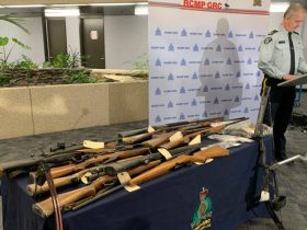 Firearms