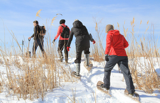 Snowshoeing