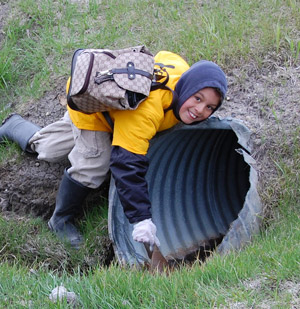 Volunteer