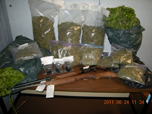 Drugs and firearms seized