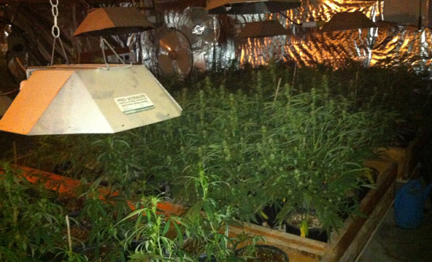 Marijuana and hydroponic growing equipment Marijuana and hydroponic growing equipment