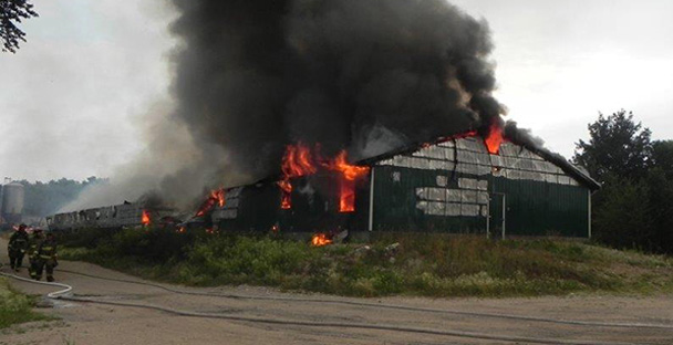 Pig barn fire