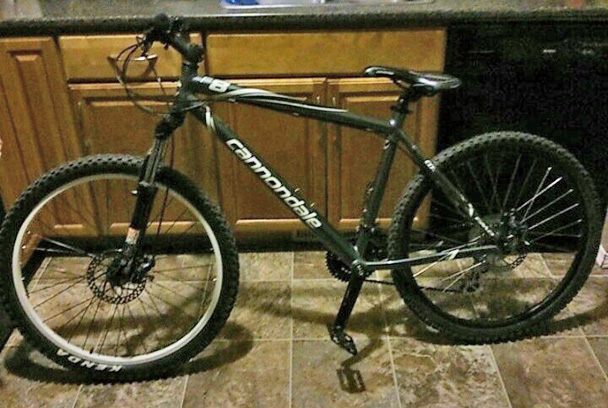 cannondale f8 mountain bike