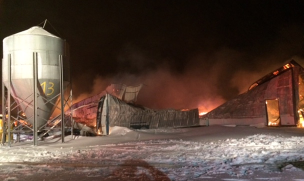 Pig barn fire