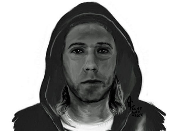 Composite drawing of the suspect driver.