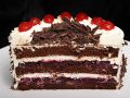 Black Forest Cherry Torte